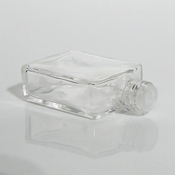 Glass Dropper Bottles 100Ml